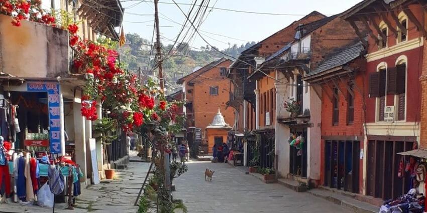 Unique Hotel And Lodge - Pleasure Of Homely Stay - Bandipur Exterior foto